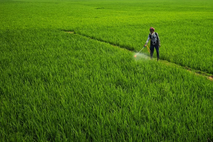 a person spraying pesticide on a green field